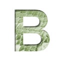 Snake scales font.The letter B cut out of paper on the background of a green snake skin with large scales. Set of decorative fonts