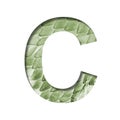 Snake scales font. The letter C cut out of paper on the background of a green snake skin with large scales. Set of decorative
