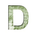 Snake scales font. The letter D cut out of paper on the background of a green snake skin with large scales. Set of decorative