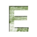 Snake scales font. The letter E cut out of paper on the background of a green snake skin with large scales. Set of decorative