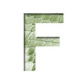 Snake scales font. The letter F cut out of paper on the background of a green snake skin with large scales. Set of decorative