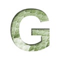Snake scales font. The letter G cut out of paper on the background of a green snake skin with large scales. Set of decorative