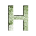 Snake scales font. The letter H cut out of paper on the background of a green snake skin with large scales. Set of decorative