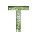 Snake scales font. The letter T cut out of paper on the background of a green snake skin with large scales. Set of decorative
