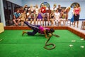Snake show Royalty Free Stock Photo