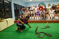 Snake show Royalty Free Stock Photo