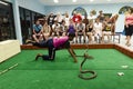 Snake show Royalty Free Stock Photo