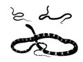 Snake silhouette collection Royalty Free Stock Photo