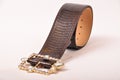 Snake skin belt Royalty Free Stock Photo