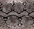 Snake skin gold pattern. Texture snake. Fashionable print. Fashion and stylish background