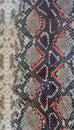Snake skin leather textured reptile print. Pyton animal leather background.