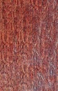Snake skin organic pattern background backdrop detailed luxury texture wallpaper Royalty Free Stock Photo