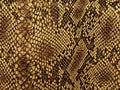 Snake skin pattern