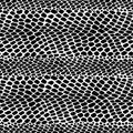 Snake skin pattern texture repeating seamless monochrome black & white