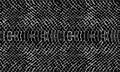 Snake skin pattern texture repeating seamless monochrome black and white. Vector. Texture snake. Fashionable print. Fashion and st Royalty Free Stock Photo