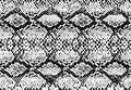 Snake skin pattern texture repeating seamless monochrome black & white. Vector Royalty Free Stock Photo