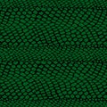 Snake skin pattern texture repeating seamless monochrome green & black