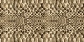 Snake skin pattern texture repeating seamless. Vector. Texture snake. Fashionable print.