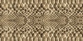 Snake skin pattern texture repeating seamless. Vector. Texture snake. Fashionable print.