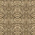 Snake skin pattern texture repeating seamless. Vector. Texture snake. Fashionable print.