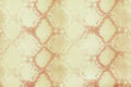 Snake skin pattern texture repeating seamless brown gold . Vector. Texture snake. Fashionable print. Fashion and stylish backgroun Royalty Free Stock Photo