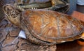 Snake skin, python, turtle, crocodile, exotic animals confiscated by border by custom, banned from entry into Europe