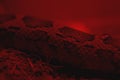 Snake skin in red light Royalty Free Stock Photo