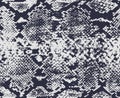 Snake skin repeat pattern