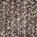 Snake skin seamless pattern. Reptile python seamless texture. Animal color beige brown repeating print texture. Fashion stylish Royalty Free Stock Photo