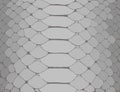 Snake skin seamless vector texture reptile skin surface