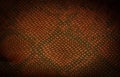 Snake skin texture brown black orange Royalty Free Stock Photo