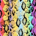 Snake skin texture with colored rhombus.