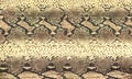 Snake skin texture. Reptile seamless background for design