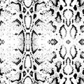 Snake skin texture. Seamless pattern black on white background. Vector Royalty Free Stock Photo