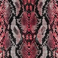 Snake skin texture seamless pattern colored Royalty Free Stock Photo
