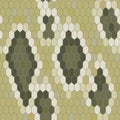 Snake skin texture. Seamless pattern python. Vector Royalty Free Stock Photo