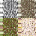 Snake skin texture set. Seamless pattern black on white background. Vector Royalty Free Stock Photo