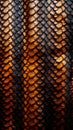 Snake skin textured background. Lizard, fish, reptile scales. Concepts of texture, luxury materials, exotic leather