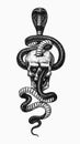 Snake in the skull. Indian cobra or spectacled or Asian or binocellate. Venomous Reptilia illustration. Engraved hand