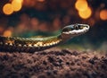 Snake slithering in the rain, surrounded by bokeh and blurred lights, AI-generated.