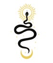 Snake sun moon. Vector art of mystical magic objects- snake, moon and sun, line art.