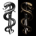 Snake and sword tattoo illustration