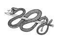 Snake With A Sword In Vintage Style. Serpent Cobra Or Python Or Poisonous Viper. Engraved Hand Drawn Old Reptile Sketch