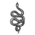 Snake tattoo sketch vector illustration Royalty Free Stock Photo