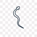 Snake vector icon isolated on transparent background, linear Snake transparency concept can be used web and mobile