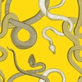 Snake vector pattern. kite on a bright yellow background. Sansevieria. Tropical animals