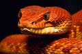 snake venom research notes and diagrams Royalty Free Stock Photo