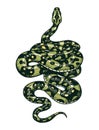 Snake In Vintage Style. Serpent Cobra Or Python Or Poisonous Viper. Engraved Hand Drawn Old Reptile Sketch For Tattoo