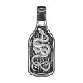 Snake wine sketch vector illustration