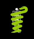 Snake wrapped around skeleton. Vector illustration